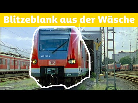 Video: Wäscht Zoono ab?