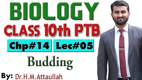 Budding  | Asexual Reproduction  | Chapter # 14 | Biology Class 10th | Lec.# 05