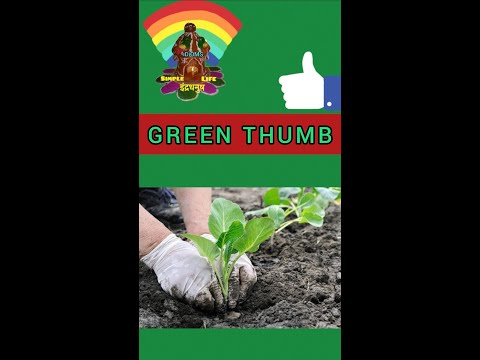 Green Thumb Là Gì - Green Thumb idiom meaning example origin #idioms #greenthumb #simplelifeindradhanush #learnidioms