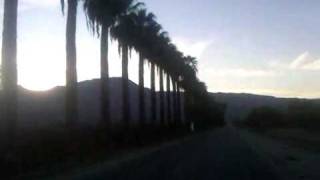 VID 00023-20100110-1635.3GP