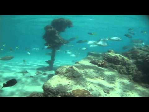 Underwater observatory near Great Keppel Island