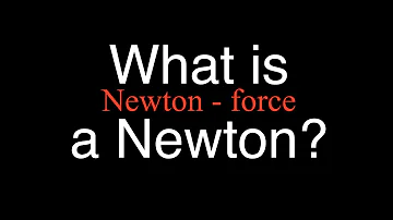 Quanti kg è un newton?