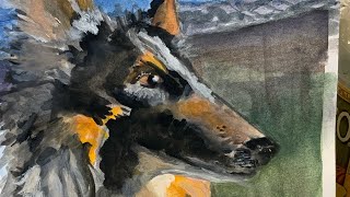 Gouache Time Lapse Painting Of Ruby The Collie Dog.