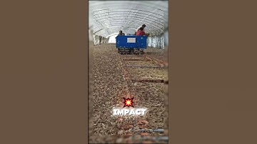 Grasshopper farm 🦗🦗🦗🦗🦗🦗🦗🦗🦗🦗🦗For example