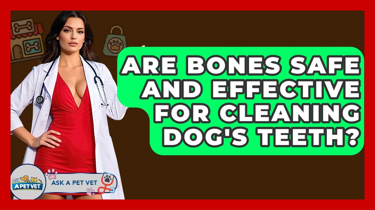 Are Bones Safe And Effective For Cleaning Dog's Teeth? - Ask A Pet Vet