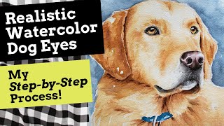 How I Paint Dog Eyes With Watercolor My Step by Step Process