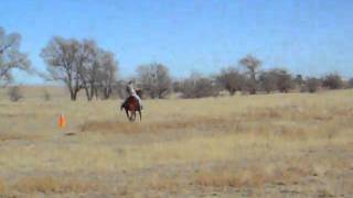 Barrels At Slow With Harlot