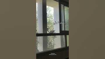 حالات واتس قرأن كريم🖤سوره يوسف