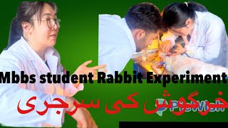 Rabbit ki surgery karnay ka tarekha || How to perform surgery on a rabbit || Hebei med uni china