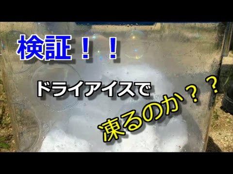 実験 ドライアイスでシャボン玉が凍るかやってみた 検証 Youtube
