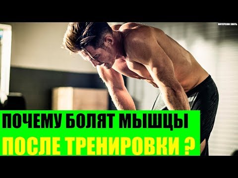 Почему болят мышцы после тренировки?