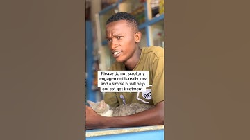 Please do not scroll,my engagement is really low and a simple hi will help our cats get food