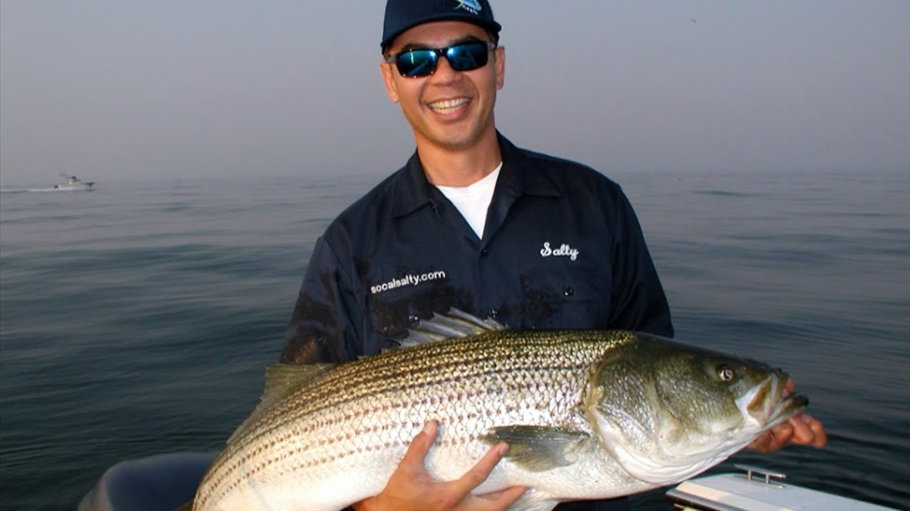 Inside and Out: Fire Island Stripers - The Fisherman