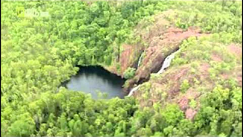 Feral Pigs in Australia documentary - part 3