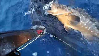 Ροφος 8kg 30m Μεθανα Team Sigalsub Greece Deep Carbon ( Ροφος Cernia Orfoz Mero Grouper)