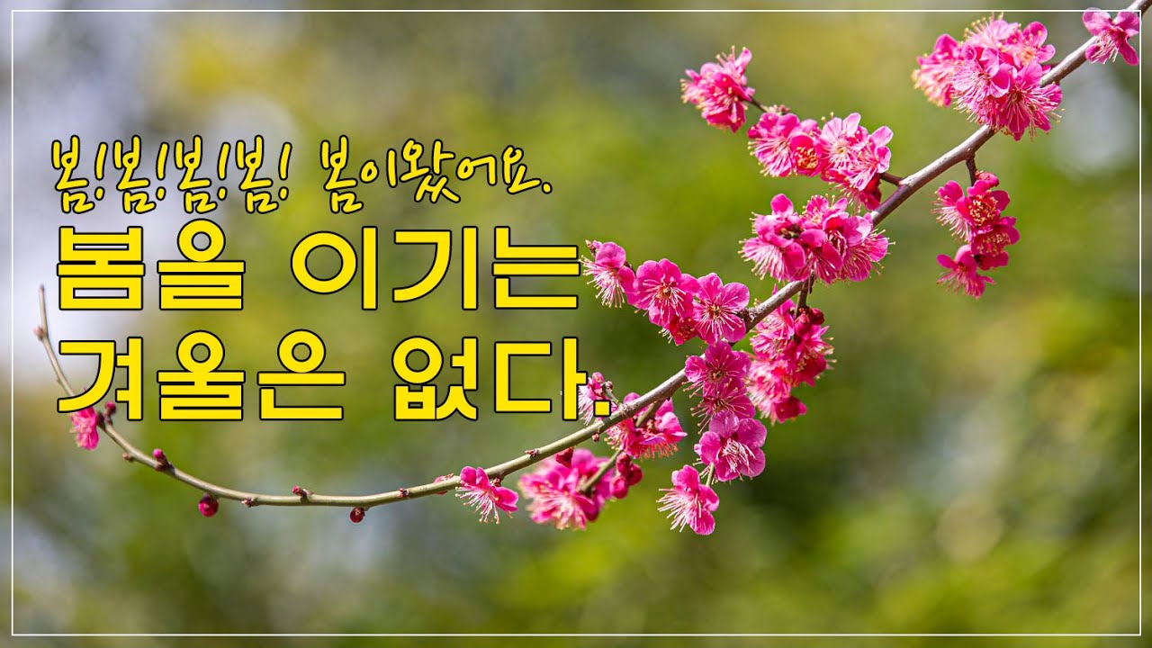 3월 인사말 모음집 (밴드 SNS, 이메일, 카톡 봄 인사말 문자 문구)