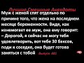 Лучшие смешные анекдоты. Выпуск 681