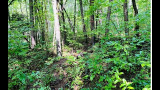Lots And Land for sale - 29,30 W Sunset Estates, Young Harris, GA 30582
