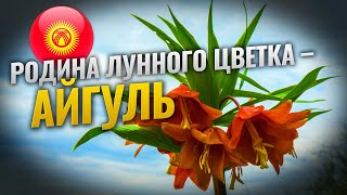 5 интересных фактов о Киргизии