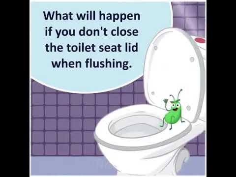 what-happens-if-u-don’t-close-the-toilet-seat-lid-while-flushing!!
