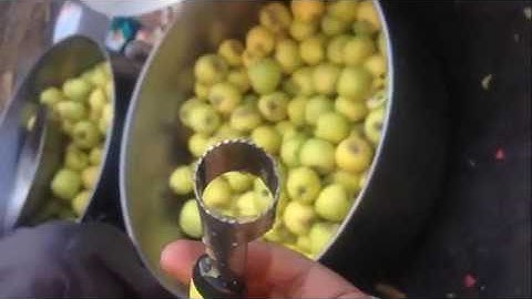 How to Peel An Apple Fast - Tuthowto