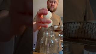 Famous Stop Throwing Away Eggshells! Do This Instead for Your Garden Wealth