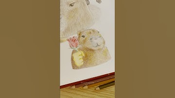 Pinterest decides what capybaras I draw!! 🍊🍎#arttrend #art #sketchbook #capybara #cuteanimals