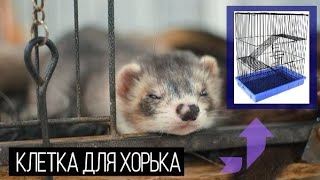 КЛЕТКА ДЛЯ ХОРЬКА ЧТО ДОЛЖНО БЫТЬ В КЛЕТКЕ