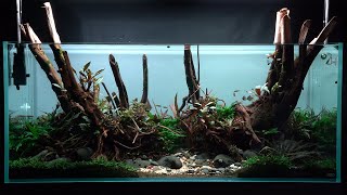 SLEEP & RELAX - 300 Liter NATURE AQUARIUM ADA 120-P Cube Garden by ZOOBOX 12,541 views 2 years ago 30 minutes