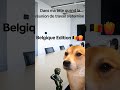 Reunion de travail en Belgique