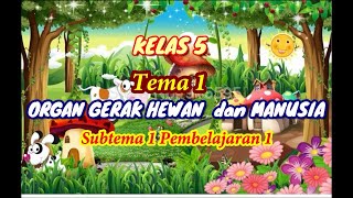 KELAS V TEMA 1 SUBTEMA 1 PEMBELAJARAN 1
