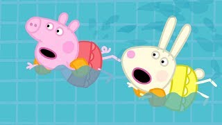 小猪佩奇 | 精选合集 | 1小时 | 和小猪佩奇一起游泳 ‍♀ 粉红猪小妹|Peppa Pig Chinese |动画