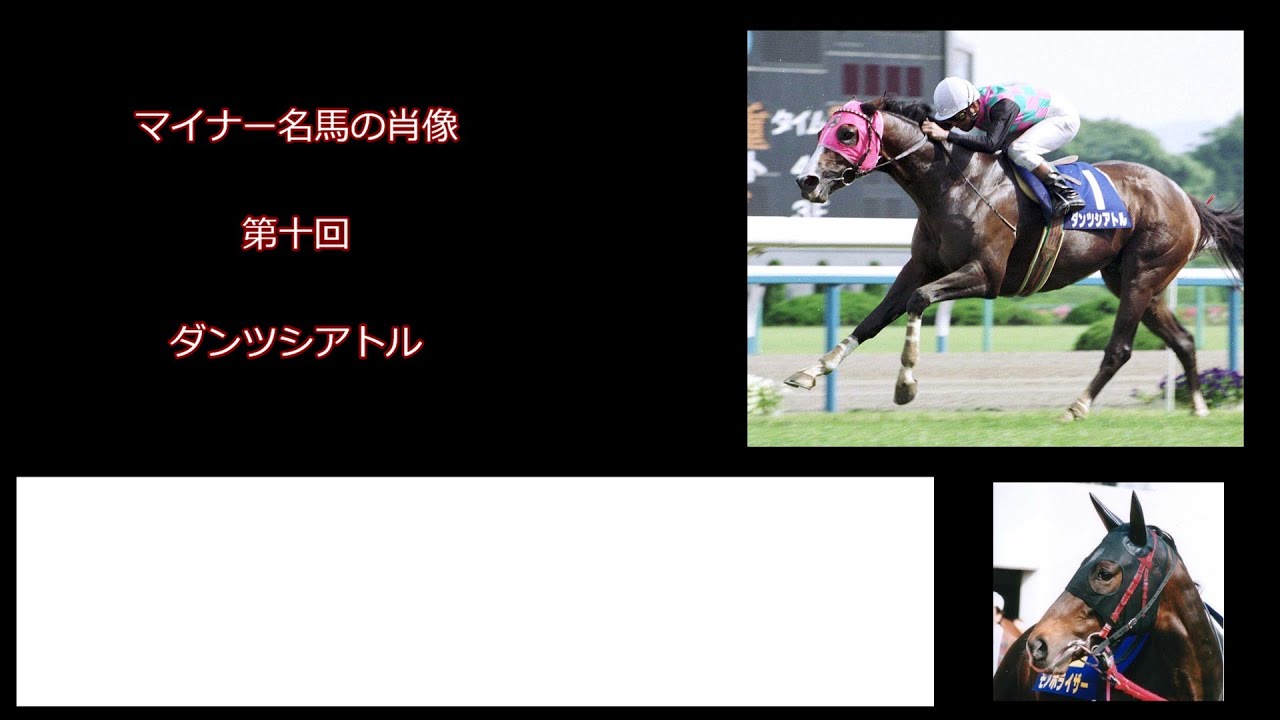 マイナー名馬の肖像 ダンツシアトル YouTube