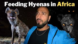 FEEDING HYENAS in Ethiopia | Indian in Africa Vlog