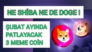 Ne Shiba Ne Doge Şubat Ayında Patlayacak 3 Coin ?