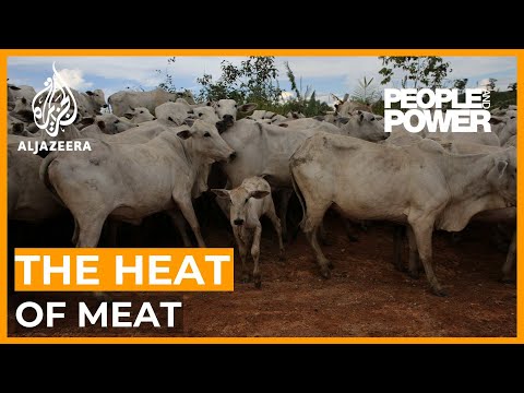 The Heat of Meat: Brazil’s beef industry and global warming | People and Power