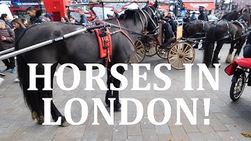 Horses Cause Chaos in Central London!