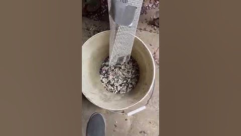 Small Color Sorter Machine for the white bean black bean sorting