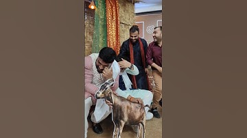 This TRIO ∆ 💀 | Mr sir and Sachin sir with Alakh Sir | PW Diwali Event