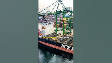 Our Next offline Export import program
