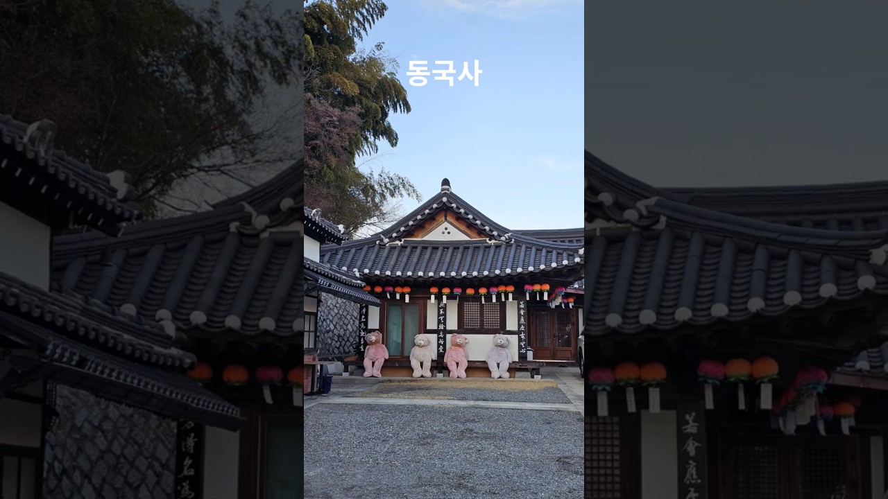 우리나라에 남아있는 유일한 일본식 사찰  #군산여행 #사찰여행 #군산근대화거리  #전라도여행 #shorts