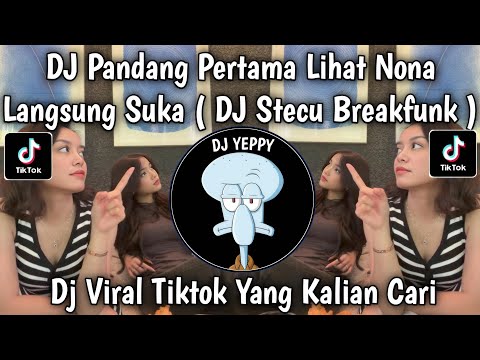 DJ STECU STECU SETELAN CUEK BARU MALU REMIX FULL BASS VIRAL TIKTOK TERBARU 2025