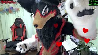 【Fursuit/獣化#167】水曜のもふもふタイム🐶🐾【ジュージュー/JuuJuu】#fursuit #獣化 #FurryVtuber #ケモV #furry