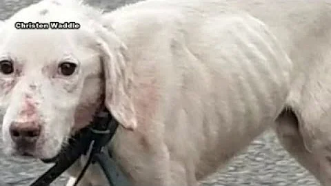 Woman files $1.1 million lawsuit over wrongful arrest