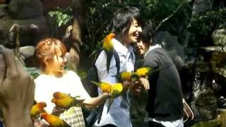 IMGP3652 WMV V9 IMGP3652 WMV V9