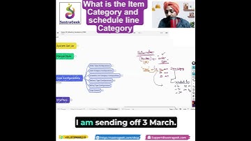 What is the Item Category and schedule line Category