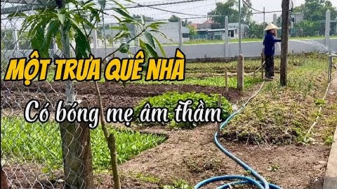 Có những trưa nắng, chỉ quê nhà mới có #nguoivietxaxu#nguoiviettaimy#hoaky#usa#nhoque#cuocsongque