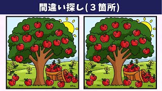 картинка: Найдите 3 отличия | Иллюстрация Версия #966