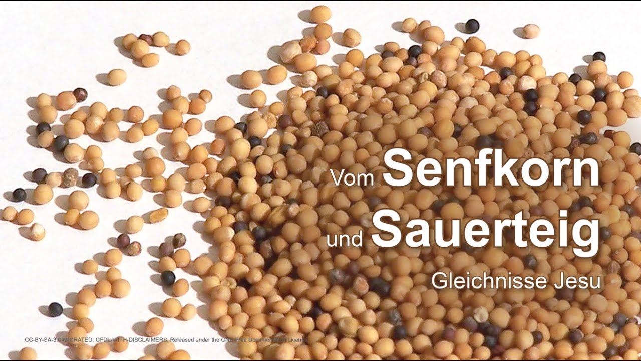 Das Gleichnis vom Senfkorn und Sauerteig YouTube