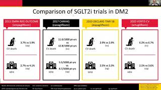 Sodium Glucose Cotransporter 2 Inhibitors in Heart Failure with Reduced Ejection Fraction